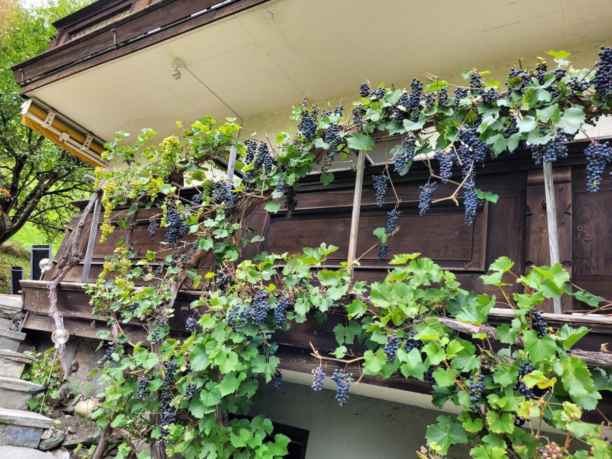 Ferienhaus Gastein Bad Hofgastein Εξωτερικό φωτογραφία